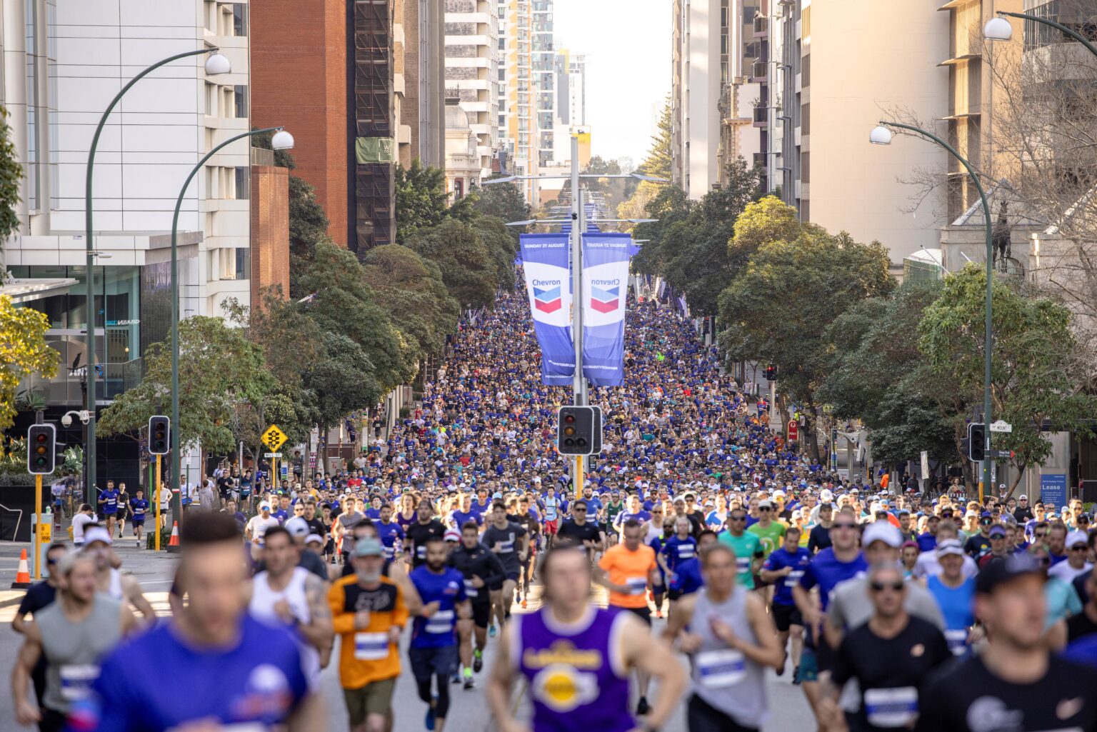 12km